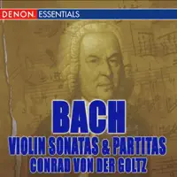 Violin Partita No. 2 in D Minor, BWV 1004: V. Chaconne