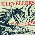 The level