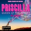 It's Raining Man [Priscilla
