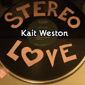 Stereo Love - Single