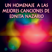 Cover art for Drew's Famous #1 Latin Karaoke Hits: Sing Like Ednita Nazario by Reyes De Cancion