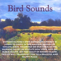 Bird Sounds - Perry Rotwein
