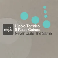 Never Quite the Same (Original Mix)