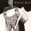 Steely Dan - Book of Liars (Live)