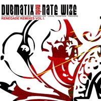 Renegade Remixes, Vol. 1 - Dubmatix & Nate Wize