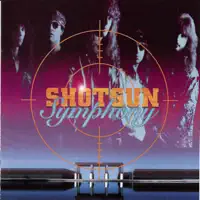 What Happens to Love — Shotgun Symphony