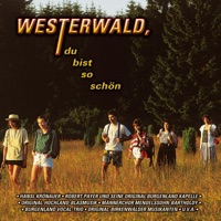 Westerwald, du bist so schön - Various Artists