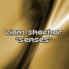Senses (Sphere Mix) Liam Shachar