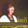 Abereregn - Amsale Mitkie