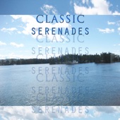 Winter - The Vivaldi Philharmonic Orchestra new Single