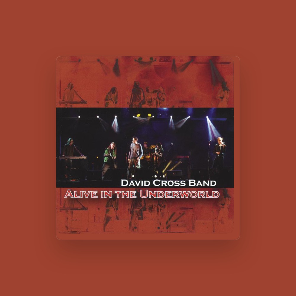 Фото David Cross Band