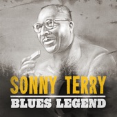 Blues Legend - Sonny Terry artwork