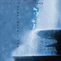 think i need it too — Echo & The Bunnymen