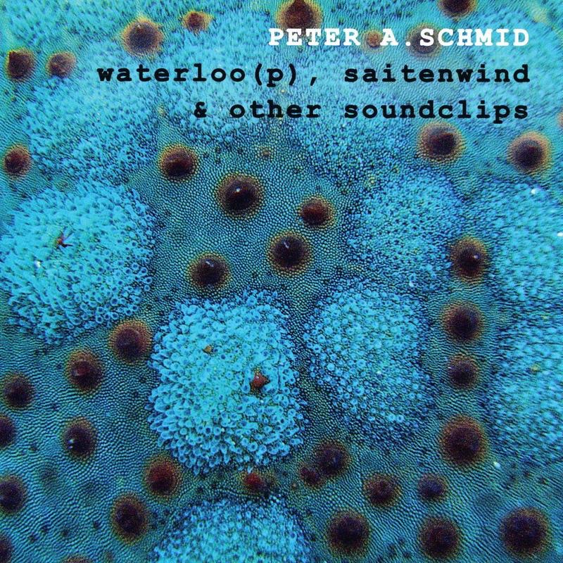 Обложка альбома «Waterloo(p), Saitenwind & Other Soundclips» — Peter A. Schmid