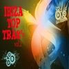 Ibiza Top Trax, Vol. 2