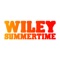 Summertime (Alex Gaudino Mix) - Wiley lyrics