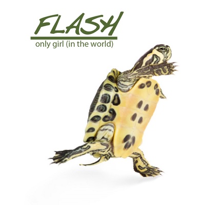 Rihanna - Only Girl (In the World)