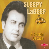 Sleepy LaBeef - Good Rockin' Boogie