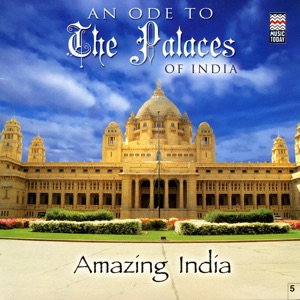 An Ode to the Palaces of India