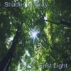 Shades Of Gray - Get In
