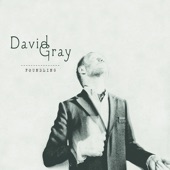 David Gray - Only the Wine