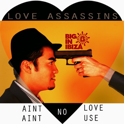 Love Assassins