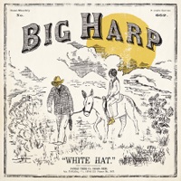 Big Harp - Everybody Pays