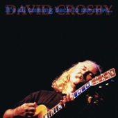 David Crosby - Déjà Vu