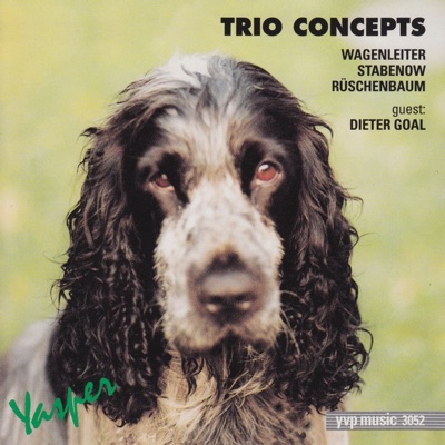 Trio Concepts (Yasper) [feat. Dieter Goal]