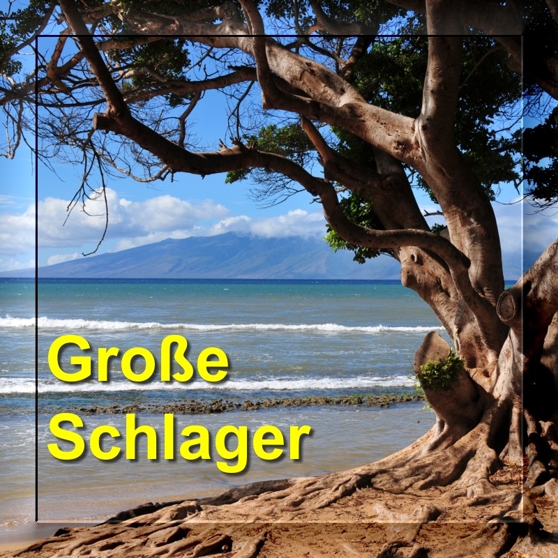 Grosse Schlager