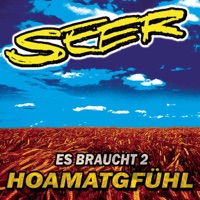 Es braucht 2 / Hoamatgfühl - Single - Seer