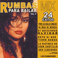 Album cover for Si Quisieras OlvidarAntes Que Tuya Fué MíaSoy GitanoQuisiera Tenerte Junto A MiLa Fiesta No es Para FeosEn La ChavolaAmor Y RuletaBandidoPor La Calle Abajo...Y Muchos Más by Los Chamarones