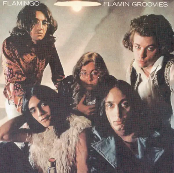 Gonna Rock Tonite — Flamin' Groovies