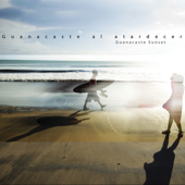 Cover art for Guanacaste Al Atardecer by Various Artists
