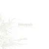 Bitcrush - Every Ghost Has It’s Spectre