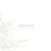 Every Ghost Has It’s Spectre — Bitcrush