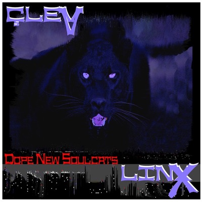 Dope New Soulcats