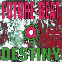 Destiny (Remix)