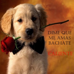 Dígale Que Son Feliz