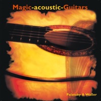 Magic Acoustic Guitars - Mr. Sandman
