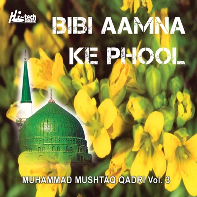 Muhammad Mushtaq Qadri