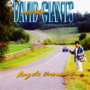 Angels Unaware - David & The Giants