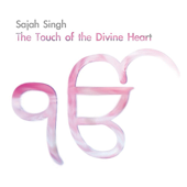 Cover art for The Touch of the Divine Heart by Sajah Singh