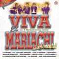 El jarabe tapatio