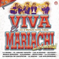 Mariachi Arriba Juárez, Mariachi Mexico de Pepe Villa, Mariachi Nuevo Tecalitlán & Mariachi Saluya - El Jarabe Tapatio