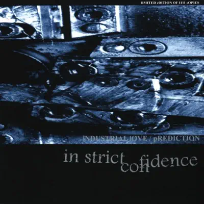 Industrial Love / Prediction - In Strict Confidence