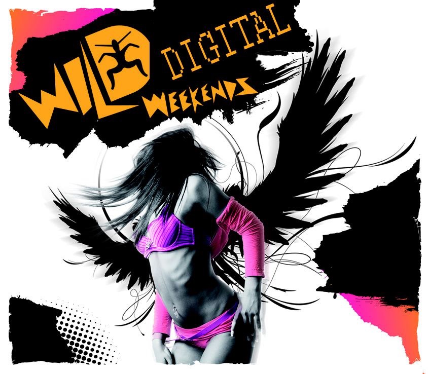 Wild Digital Weekends, Vol. 4 (Unmixed)