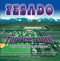 Trayectoria - Pesado