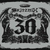 Skitzmix 30 V1 Megamix artwork