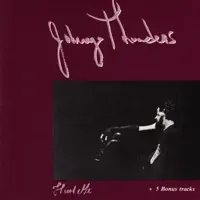 Green Onions — Johnny Thunders